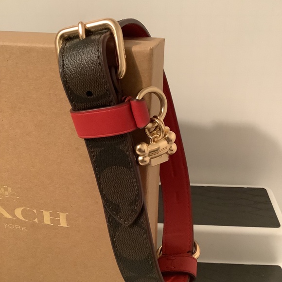 COACH Brown & Apple Red Signature Dog Collar Sz Small 9.5” - 11.5” BNWT - Picture 7 of 8